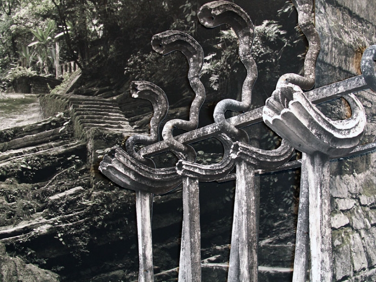 http://www.bea.mirunadragan.com/files/gimgs/th-6_IMG_2470_Xilitla_W.jpg