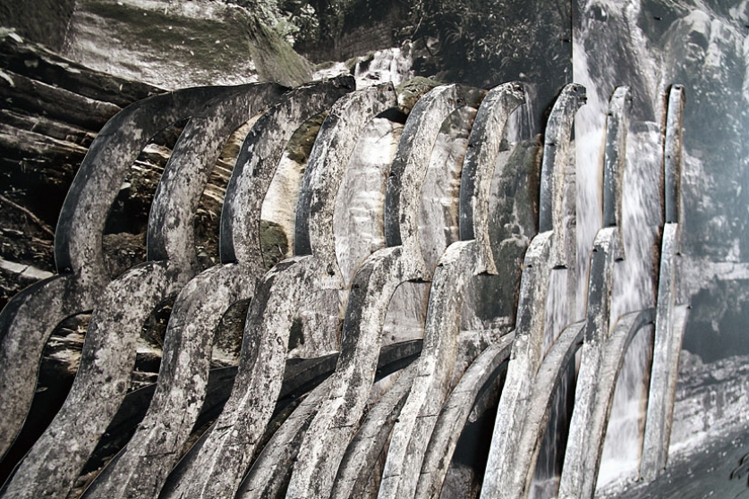 http://www.bea.mirunadragan.com/files/gimgs/th-6_IMG_2473_Xilitla_W.jpg