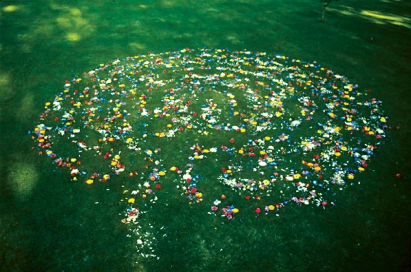 http://www.bea.mirunadragan.com/files/gimgs/th-16_void2_1photo2.jpg