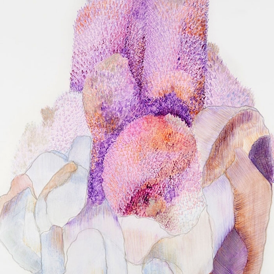 http://www.bea.mirunadragan.com/files/gimgs/th-23_Erratics-Draw3-detail-web_v2.jpg