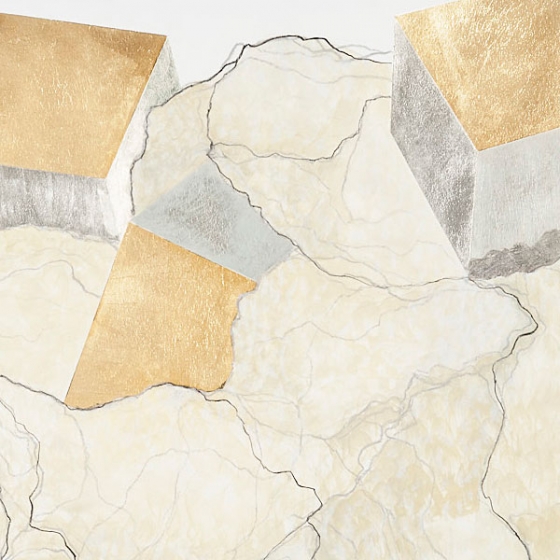 http://www.bea.mirunadragan.com/files/gimgs/th-23_Erratics-Draw1-detail-web_v3.jpg