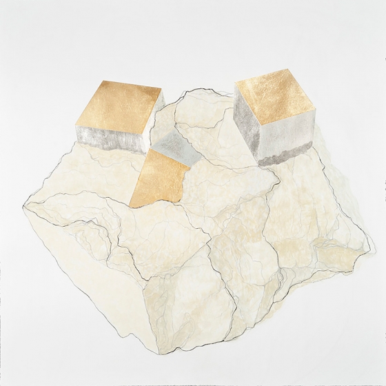 http://www.bea.mirunadragan.com/files/gimgs/th-23_Erratics-Draw1-web_v3.jpg