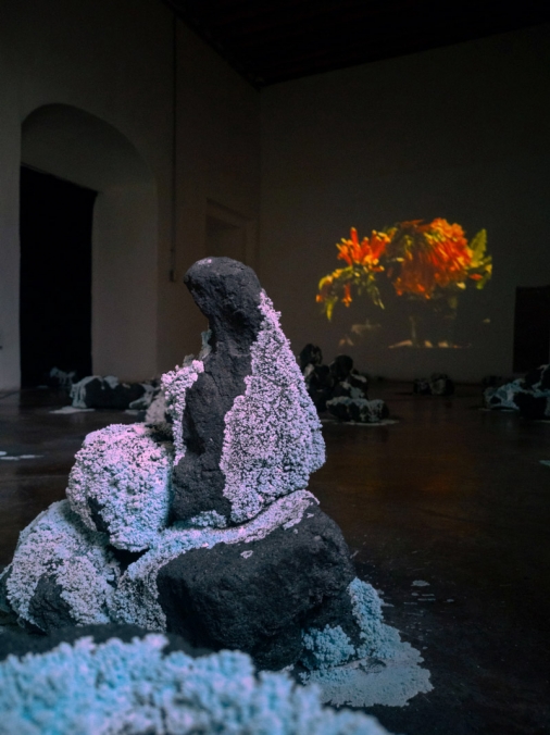 http://www.bea.mirunadragan.com/files/gimgs/th-71_HGM-Coal-W_IMG_20220920_111751(1)_1.jpg