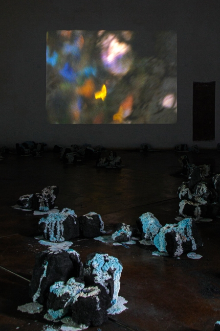 http://www.bea.mirunadragan.com/files/gimgs/th-71_IMG_4018_W.jpg
