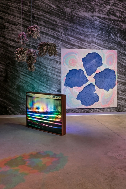 http://www.bea.mirunadragan.com/files/gimgs/th-54_Untitled2_W.jpg